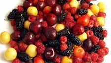 fruit flavonols heart health