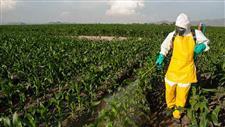 chlorpyrifos parkinsons disease