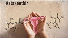 astaxanthin benefits for pmos