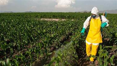 chlorpyrifos parkinsons disease