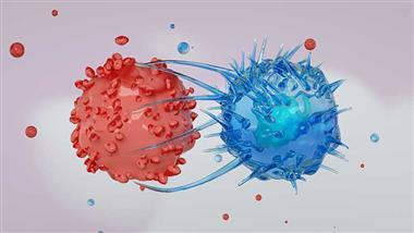 creatine cancer immune defense