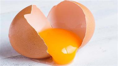 egg yolk compounds osteoporosis