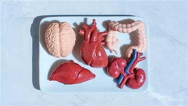 organ donation investigation safety failures