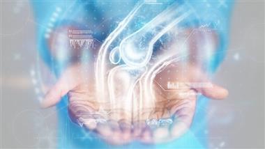 vitamin k bone health