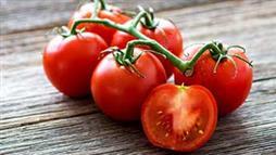 fresh tomatoes with lycopene