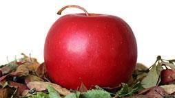 organic apple