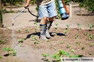 Roundup: The "Safe" Garden Product that Can Destroy Your DNA