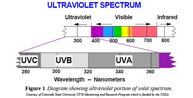 Espectro Ultravioleta