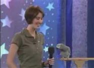 Is This Parrot Smarter than Einstein?