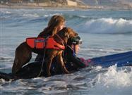 Inspirational Service Dog Learns to Surf