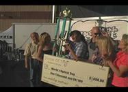 The World’s Ugliest Dog Contest