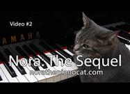 Kitty Displays Extraordinary Musical Talent