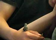 Amazing Rescued Baby Hummingbird
