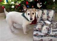 Simon Wants His Christmas Presents Early