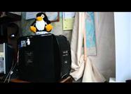 Cat vs. DVD Drive