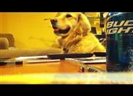 Groovin' Golden