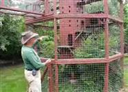 Awesome Outdoor Cat Playground