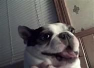 Mackie Loves to Be Tickled