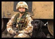 Dogs of War