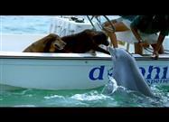 Love on the High Seas