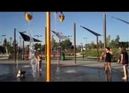 Dog Loves Getting Drenched