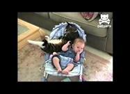 Cat Cuddles with Baby