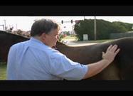 Small Animal Vet Uses Principles of Holistic Medicine to Heal Horse
