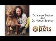 A Natural Herb That Fights Cancer, or Chemotherapy for Your Sick Pet... Which Would You Choose?