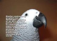 Extraordinary Creative and Psychic Powers of Animals