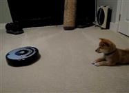 Mi Primer Roomba