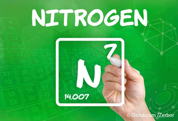 nitrogen fertilizers