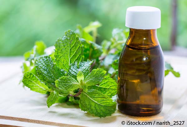 peppermint helps improve athletic performance