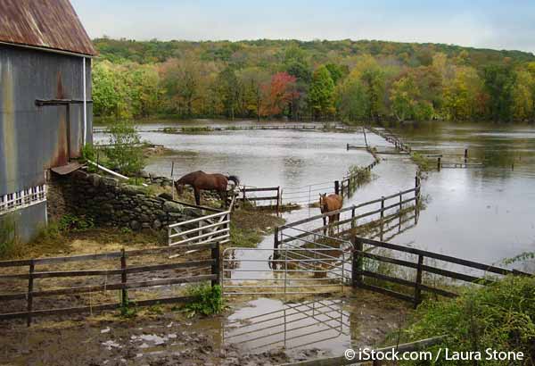 cafo waste lagoons hurricane floodwaters