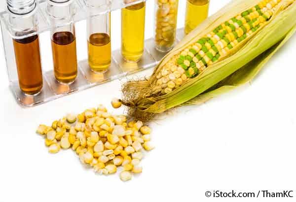 corn ethanol carbon neutrality