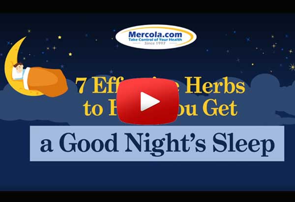 herbs for insomnia
