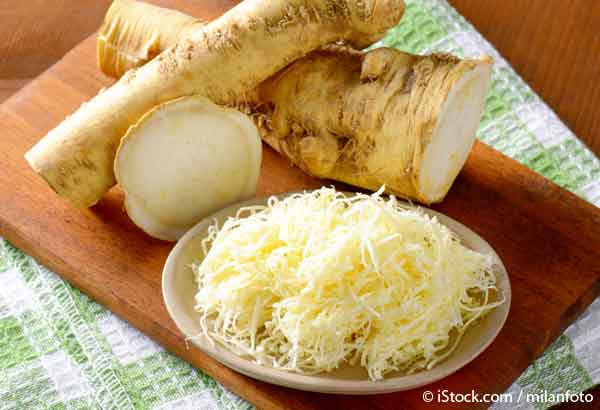 natural antibiotic horseradish