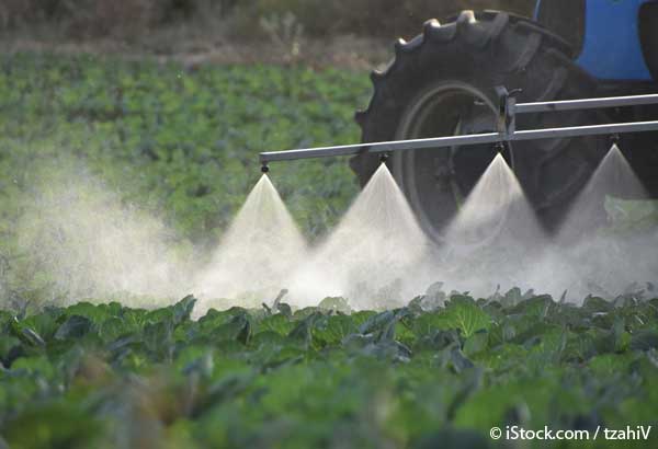 reducing pesticides wont hurt production