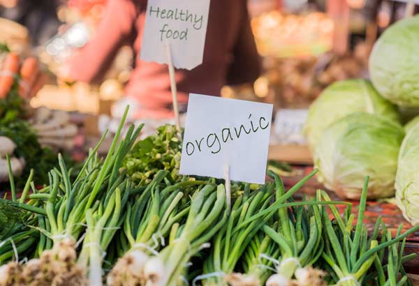 organic versus hydroponic