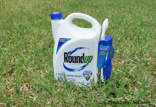 what does roundup do to liver