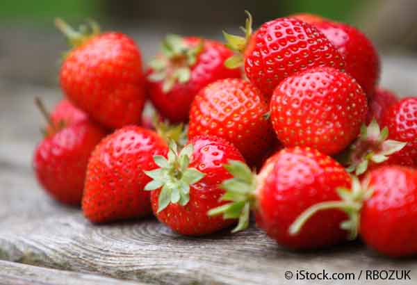 strawberry fisetin key to good memory