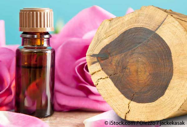 rosewood oil