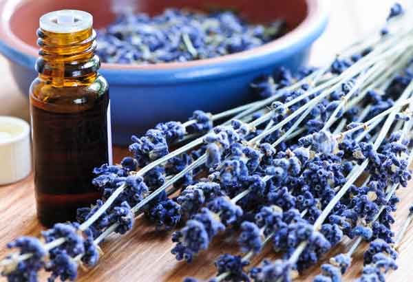 lavender anxiety relieving effects
