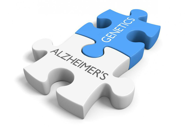 alzheimers disease new genetic culprit found