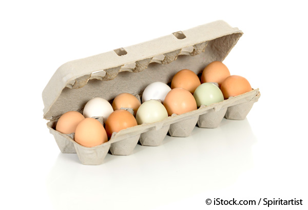 eggs choline source
