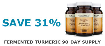 Fermented Turmeric 90 Day Supply