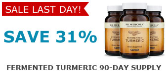 Fermented Turmeric 90 Day Supply