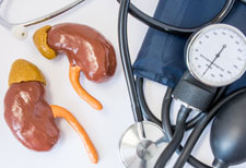how kidneys influence blood pressure