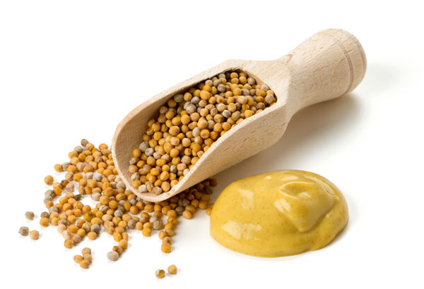what makes mustard spicy