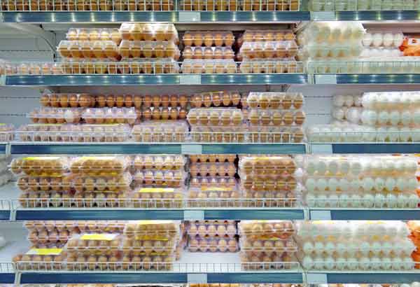 grocery stores cafo eggs