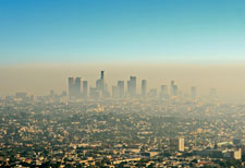 air pollution contributes to obesity